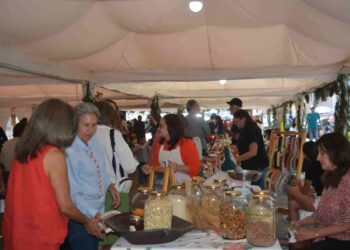 En Puembo (Pichincha) se enciende el espíritu navideño con la Feria de Emprendimientos “Las Flores Hablan”