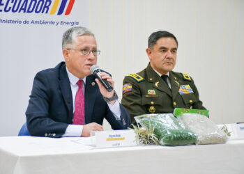 Protección forestal: inicia la campaña nacional “No arranques la piel de los bosques 2025”