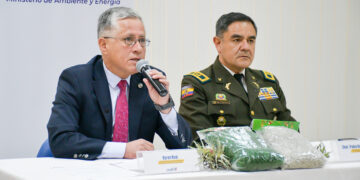 Protección forestal: inicia la campaña nacional “No arranques la piel de los bosques 2025”