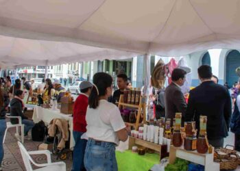 Loja se endulza: XII Encuentro Apícola 2025 reunirá a productores, expertos y 27 tipos de miel