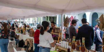 Loja se endulza: XII Encuentro Apícola 2025 reunirá a productores, expertos y 27 tipos de miel