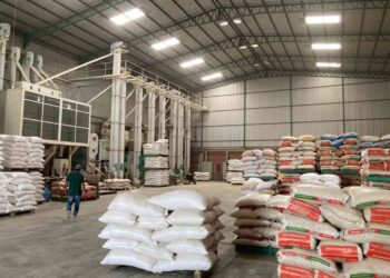 Gobierno impulsa el comercio justo del arroz con USD 2,2 millones para productores de Los Ríos