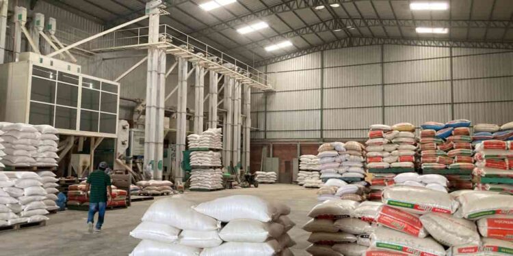 Gobierno impulsa el comercio justo del arroz con USD 2,2 millones para productores de Los Ríos