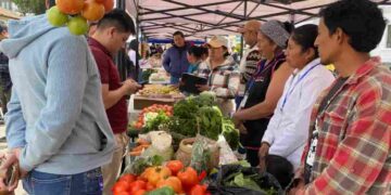 Productores de Cotopaxi aseguran precios justos en encuentro directo con supermercados