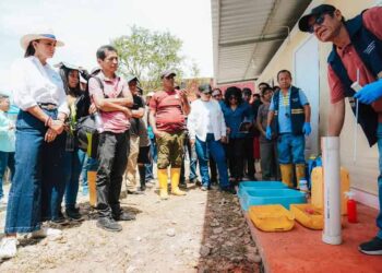 Guayas refuerza la bioseguridad para blindar sus bananeras frente al Fusarium Raza 4 Tropical