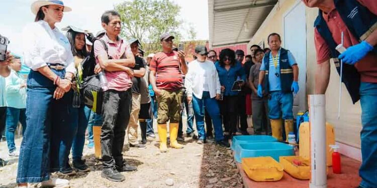 Guayas refuerza la bioseguridad para blindar sus bananeras frente al Fusarium Raza 4 Tropical