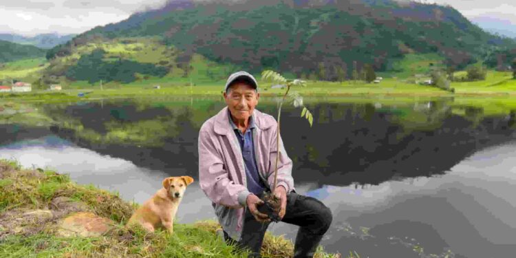 Azuay brilla en el mundo con premio internacional por la restauración de sus humedales