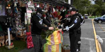 Más de 480 kilos de flora silvestre incautados en campaña nacional para proteger los bosques