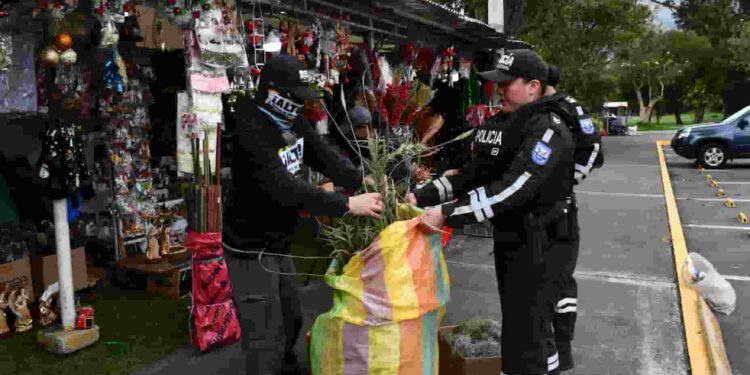 Más de 480 kilos de flora silvestre incautados en campaña nacional para proteger los bosques