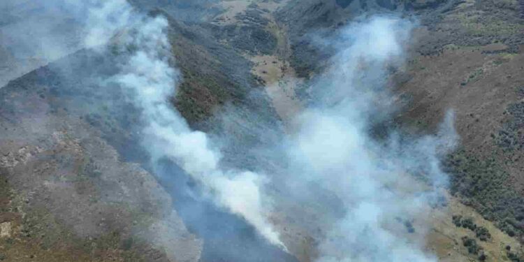Ola de calor desata incendios forestales en Tungurahua y otras provincias del país