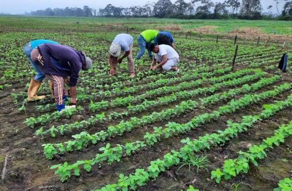 Ecuador e Israel fortalecen cooperación agrícola con enfoque en innovación y sostenibilidad