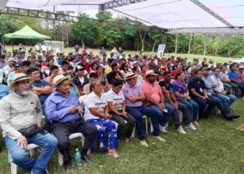 MAGP fortalece al agro manabita con incentivos productivos y créditos a bajo interés