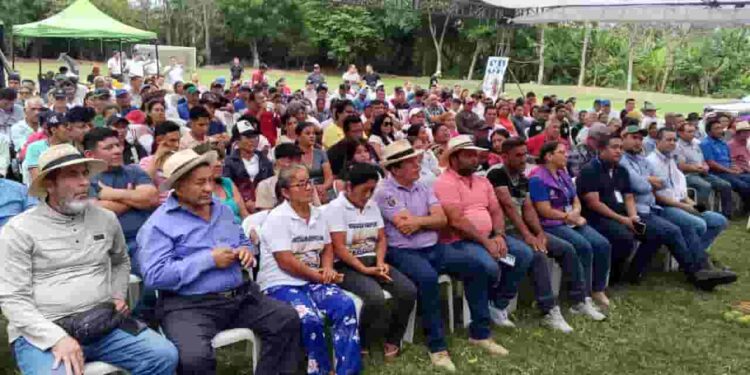 MAGP fortalece al agro manabita con incentivos productivos y créditos a bajo interés
