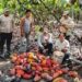 Récord histórico en la producción de cacao peruano y señales de madurez en el sector