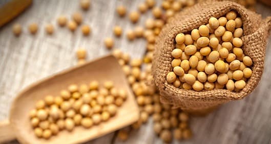 Soya sostenible de Estados Unidos: proteína clave para una producción responsable