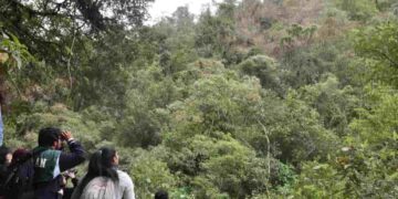 Yaku celebra 20 años: un fin de semana de música, sabores y naturaleza para vivir con todos los sentidos