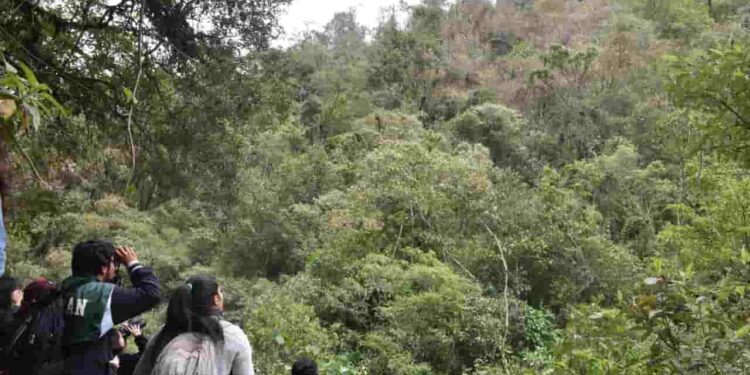 Yaku celebra 20 años: un fin de semana de música, sabores y naturaleza para vivir con todos los sentidos