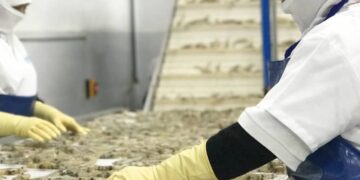 Camarón ecuatoriano: un gigante mundial que pide reglas claras para seguir creciendo