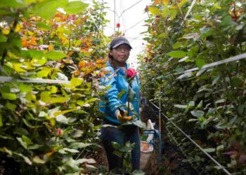 BanEcuador impulsa a las PYMES con USD 108.5 millones colocados en 2025