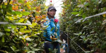 BanEcuador impulsa a las PYMES con USD 108.5 millones colocados en 2025