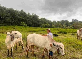 CRÉDITO PRODUCTIVO 7X7 DE BANECUADOR LOGRA CIFRA HISTÓRICA DE 51 MILLONES DE DÓLARES