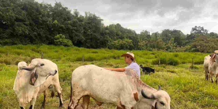 CRÉDITO PRODUCTIVO 7X7 DE BANECUADOR LOGRA CIFRA HISTÓRICA DE 51 MILLONES DE DÓLARES