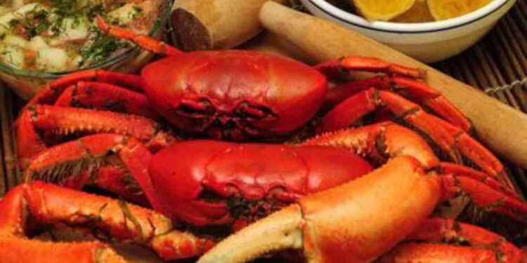 Primera veda del cangrejo entre el 1 de febrero y dos de marzo de 2026