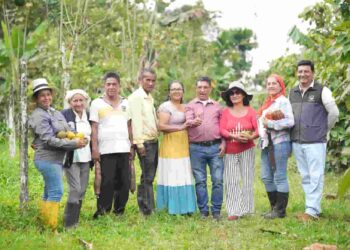 A partir de febrero: tres mil brigadistas participarán en el registro nacional agropecuario