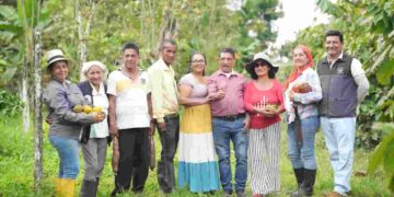A partir de febrero: tres mil brigadistas participarán en el registro nacional agropecuario