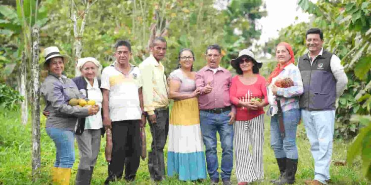 A partir de febrero: tres mil brigadistas participarán en el registro nacional agropecuario