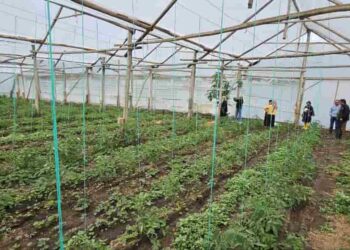 Gobierno fortalece la producción agropecuaria para enfrentar el invierno 2025–2026