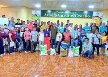 Impulso al plátano manabita: más tecnología, seguros y productividad