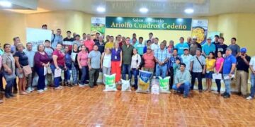 Impulso al plátano manabita: más tecnología, seguros y productividad