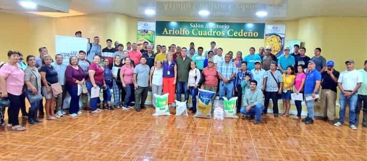 Impulso al plátano manabita: más tecnología, seguros y productividad