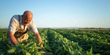 La Unión Europea impone a los agricultores controles obligatorios del suelo, desde 2026