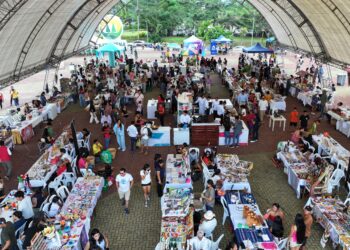 IICA Ecuador impulsa el desarrollo productivo y sostenible en la región amazónica