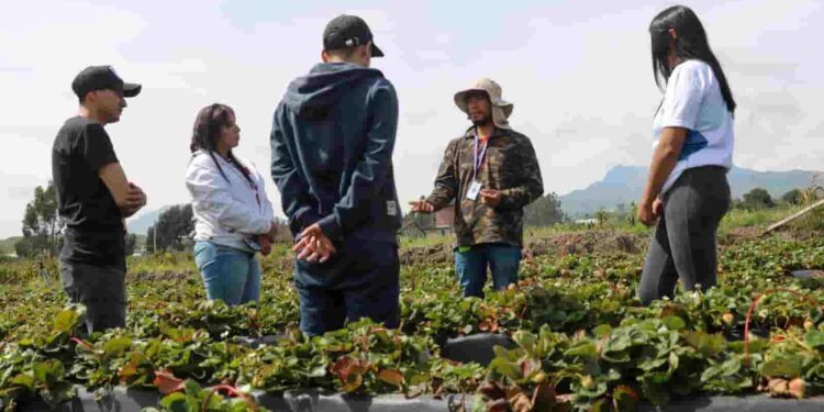 En Ecuador, más de 10.000 jóvenes rurales impulsarán la transformación del campo