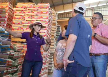 Gobierno y arroceros articulan acciones para fortalecer la cadena productiva en Los Ríos