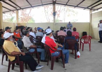 Gobierno destina cerca de 3 millones de dólares para impulsar la producción sostenible de maíz y arroz en Guayas y Los Ríos