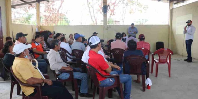 Gobierno destina cerca de 3 millones de dólares para impulsar la producción sostenible de maíz y arroz en Guayas y Los Ríos