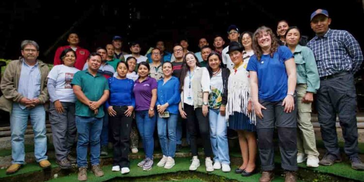 Ecuador fortalece cadenas agroforestales positivas con los bosques en cacao y café 