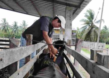 Escuelas del Productor impulsan la transformación productiva del campo manabita