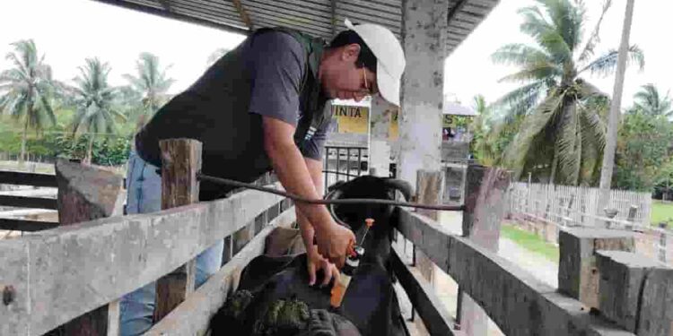 Escuelas del Productor impulsan la transformación productiva del campo manabita