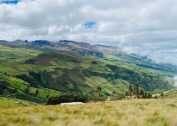 En los páramos de El Quinche se siembran 10.000 plantas para asegurar el agua de nueve comunidades