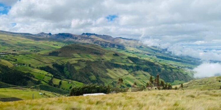 En los páramos de El Quinche se siembran 10.000 plantas para asegurar el agua de nueve comunidades