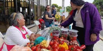 La Agricultura Familiar Campesina fortalece la seguridad alimentaria: más de 76 mil productores ya acceden a apoyo estatal