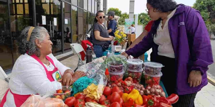 La Agricultura Familiar Campesina fortalece la seguridad alimentaria: más de 76 mil productores ya acceden a apoyo estatal